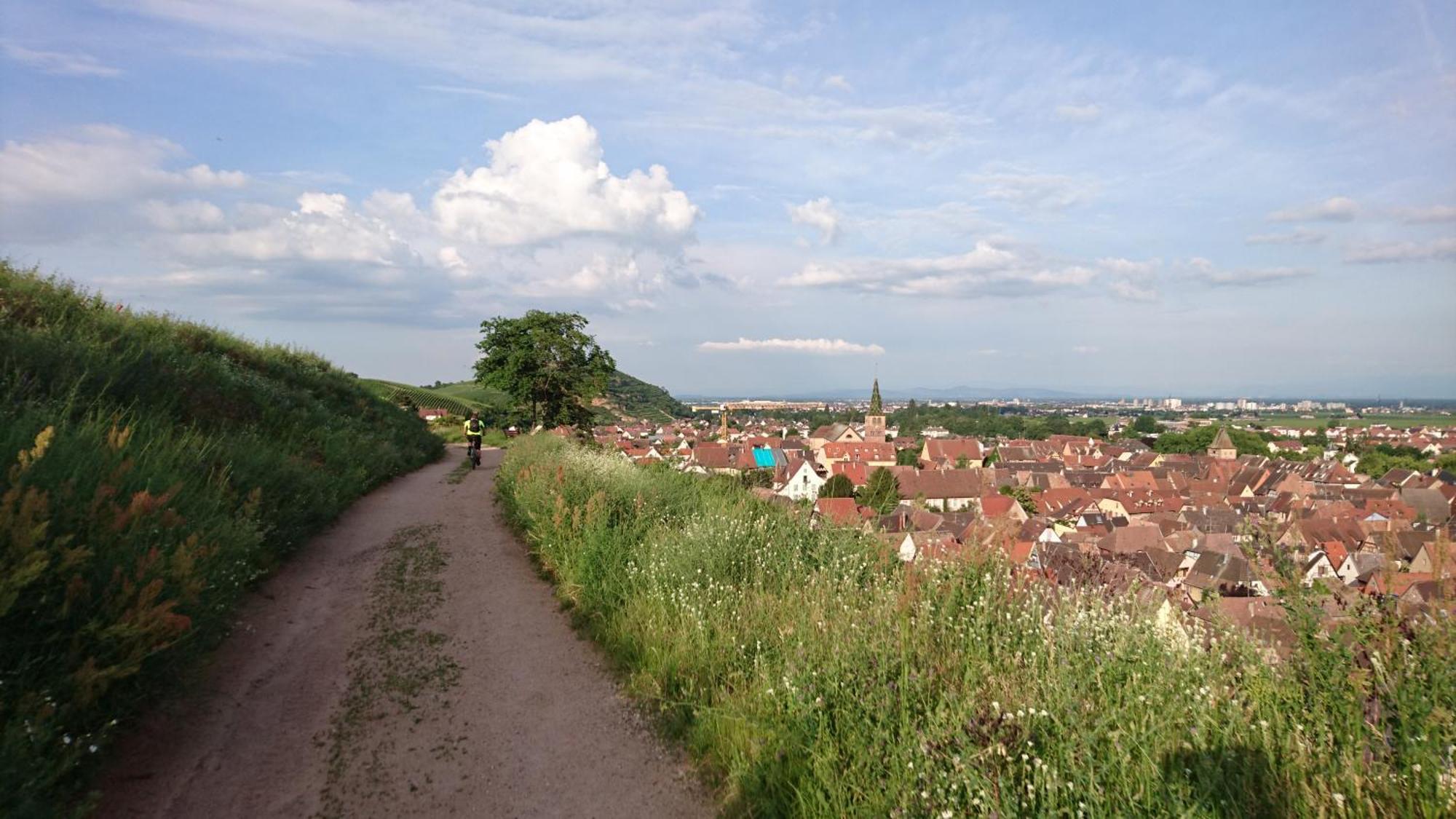 Entre Ville Et Vignes - Gite Classe 3 Etoiles Ingersheim Kültér fotó