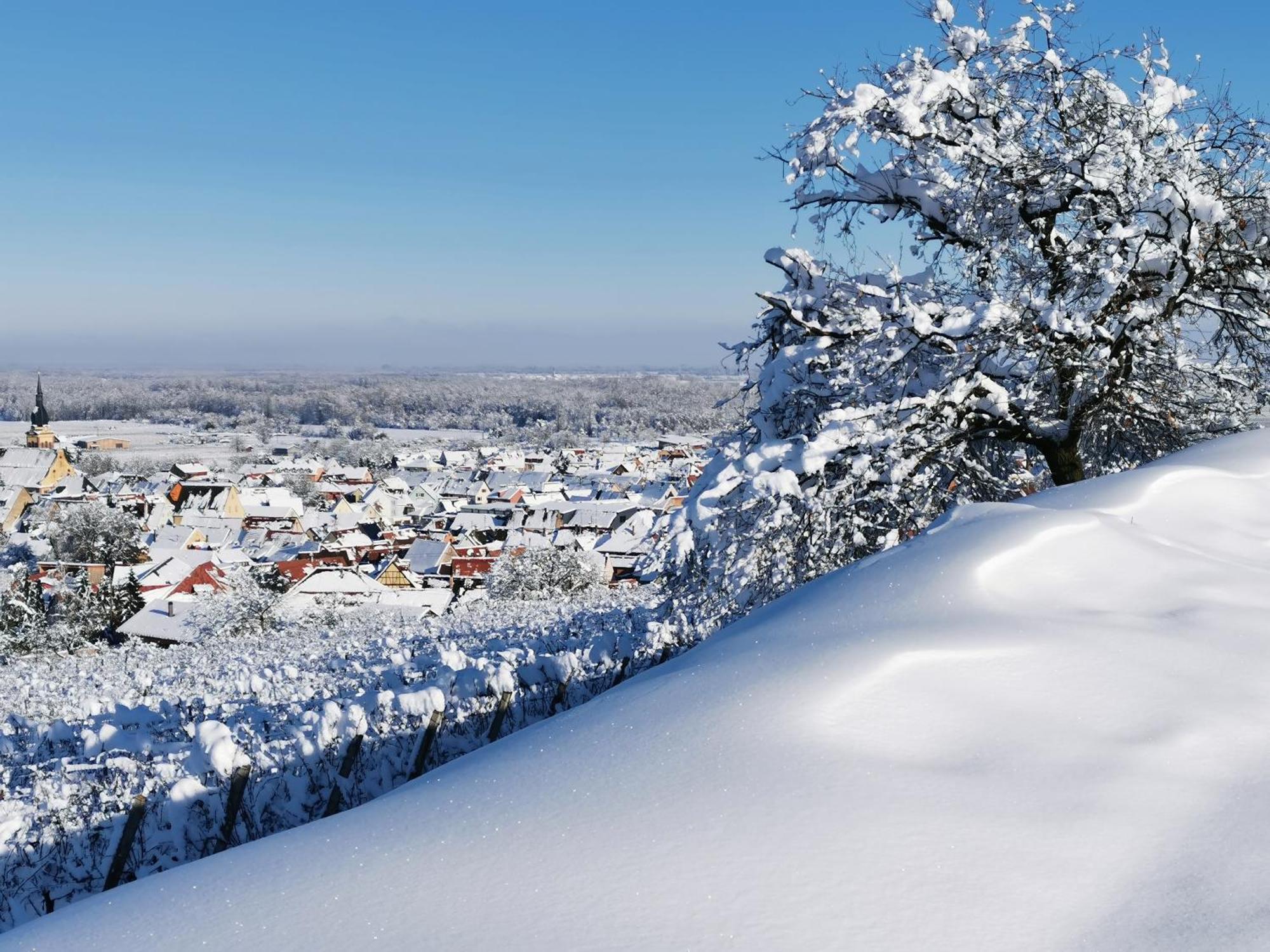 Entre Ville Et Vignes - Gite Classe 3 Etoiles Ingersheim Kültér fotó